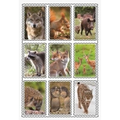 Speelgoed 3D stickers van wilde dieren 10049855