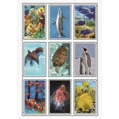 Speelgoed 3D stickers van zeedieren 10049856