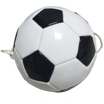 SportX voetbalvaardigheidstrainer wit/zwart 233055