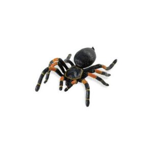 Tarantula spin 10052810